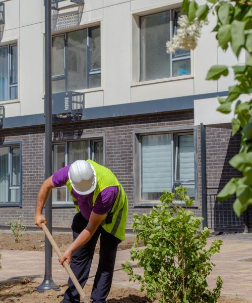 Man in purple shirt and vest using shovel to plant small tree. Residential area with apartment buildings in background.